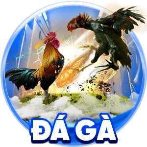 Đá Gà O8